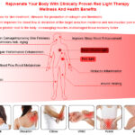 Gray 3000W Infrared Red Light Therapy Lamp by Genrevive