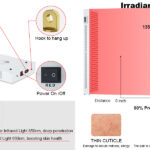 1500W Infrared Red Light Therapy Lamp by Genrevive